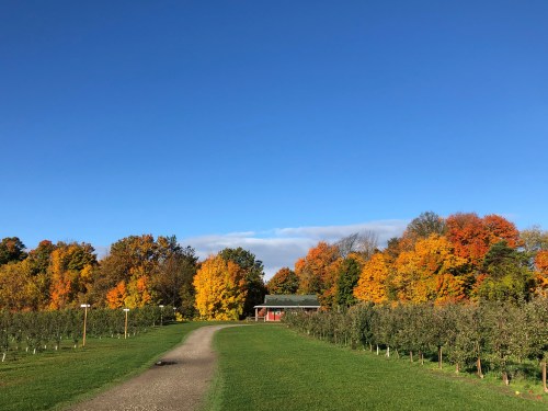 A scenic path leads to a red barn, surrounded by vibrant autumn trees under a clear blue sky.