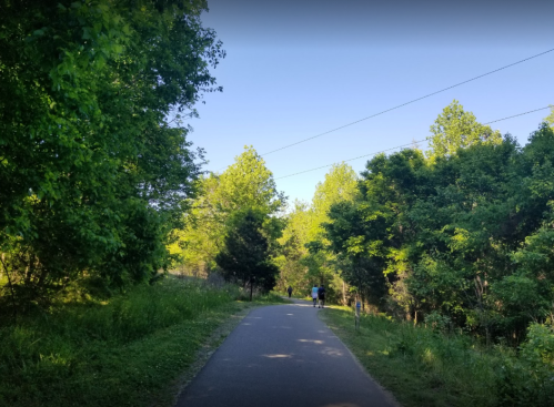 A peaceful pathway surrounded by lush green trees, with two people walking in the distance under a clear blue sky.