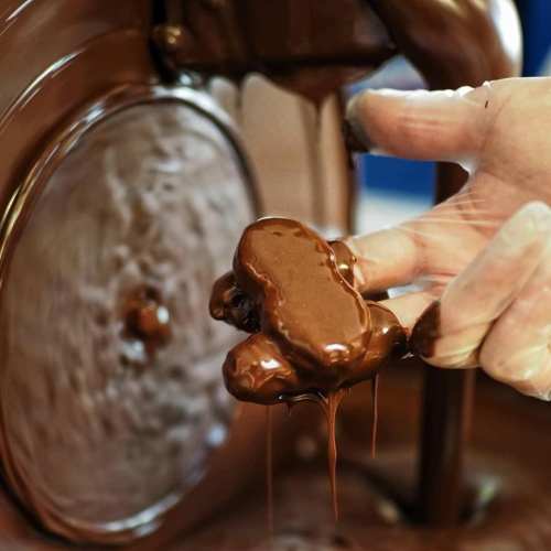 A hand in a glove holds a chocolate-covered treat, with melted chocolate dripping from a machine in the background.