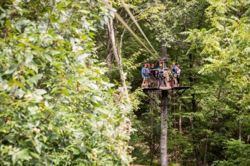 A group of people stands on a platform in a forest, preparing to zip line through the trees.