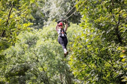 A person in a harness zip-lining through a lush green forest on a sunny day.