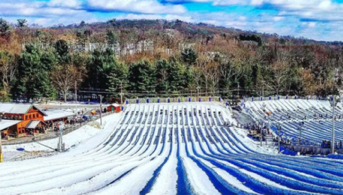 A snowy landscape with multiple tubing lanes, surrounded by trees and a cozy lodge in the background.