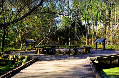 A wooden platform surrounded by trees, featuring benches and informational signs, set in a natural, green environment.