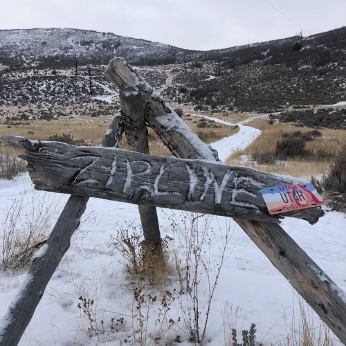 A weathered wooden sign reading "ZIPLINE" stands in a snowy landscape with a dirt path in the background.