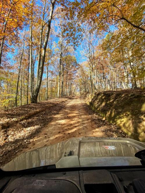 A dirt path winds through a colorful autumn forest, with trees displaying vibrant fall foliage under a clear blue sky.