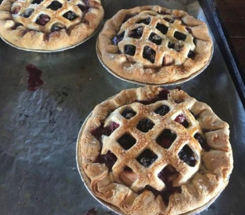 Three freshly baked fruit pies with lattice crusts on a baking sheet.