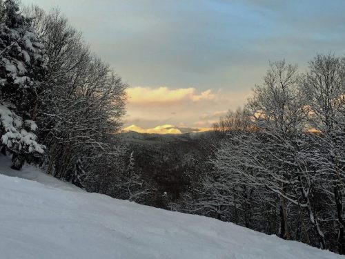 A snowy landscape with trees in the foreground and distant mountains illuminated by a soft sunset glow.