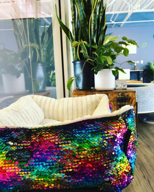 A colorful, sequined pet bed sits in a bright room with green plants and wooden furniture in the background.