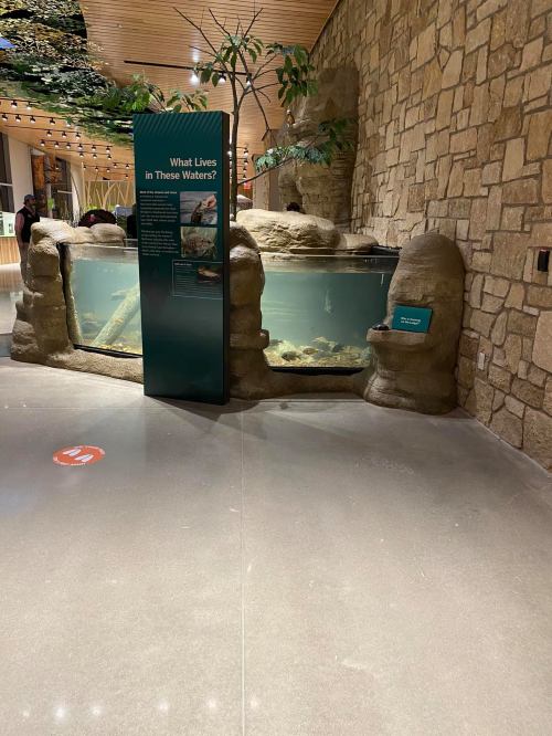 Aquarium display with informational sign about aquatic life, set in a modern, stone-walled environment.