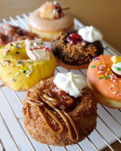A variety of colorful donuts on a cooling rack, topped with frosting, sprinkles, and unique decorations.