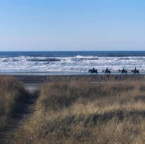 Four horses and riders walk along a sandy beach with waves crashing in the background under a clear blue sky.