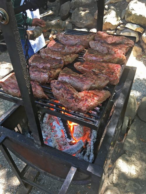 Grilled steaks cooking on a barbecue grill over glowing coals, surrounded by rocks and outdoor scenery.