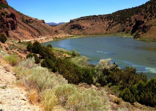 A serene landscape featuring a calm lake surrounded by green vegetation and rocky hills under a clear blue sky.