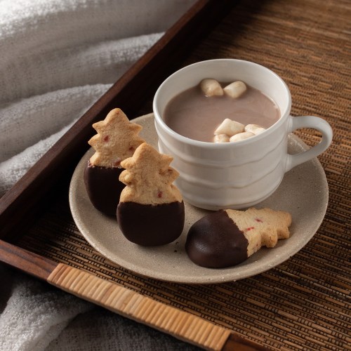 A cozy scene featuring a cup of hot chocolate with marshmallows and chocolate-dipped tree-shaped cookies on a plate.