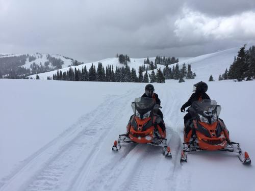 Two snowmobiles on a snowy trail, surrounded by pine trees and mountains under a cloudy sky.