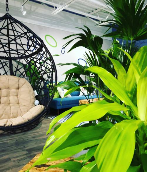 A cozy indoor space featuring a hanging chair, green plants, and a blue sofa in a modern setting.