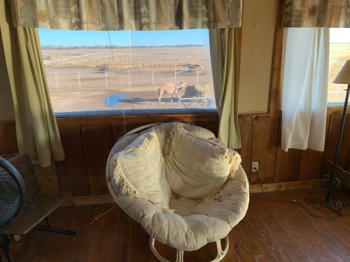 A cozy chair by a window overlooking a field with a horse eating hay in the distance.