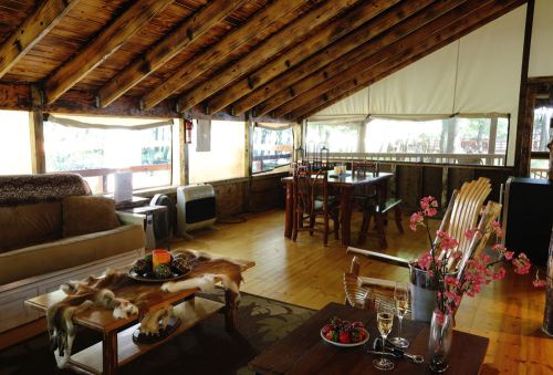 Cozy interior of a rustic cabin with wooden beams, a sofa, dining area, and decorative flowers and fruits on the table.