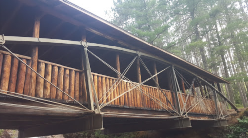 A wooden covered bridge with metal supports, surrounded by tall trees in a forested area.
