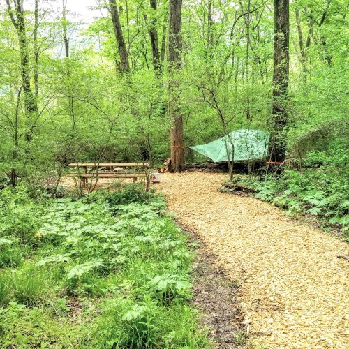 A winding path through a lush green forest, leading to a tent and wooden seating area surrounded by trees.