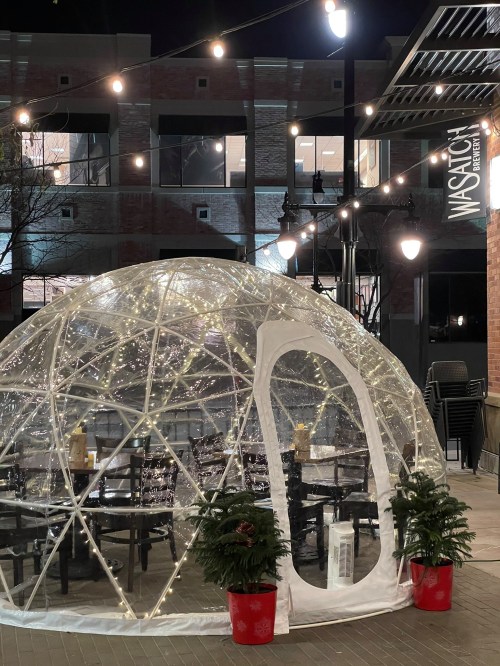 A clear igloo-style dining pod with string lights, surrounded by chairs and potted plants, set in an outdoor area at night.