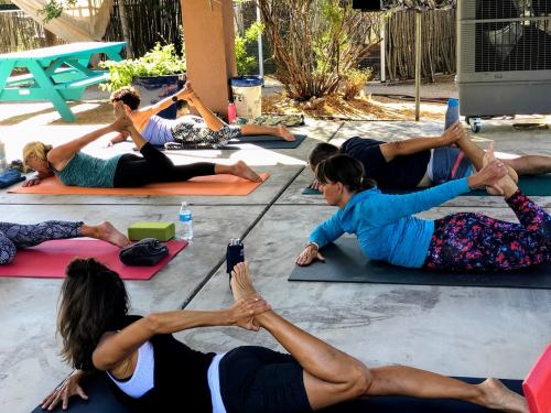 A group of people practicing yoga outdoors on mats, stretching and focusing on their poses in a sunny environment.