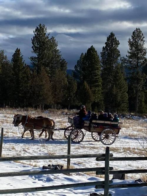 A horse-drawn wagon carries passengers through a snowy field surrounded by tall pine trees under a cloudy sky.