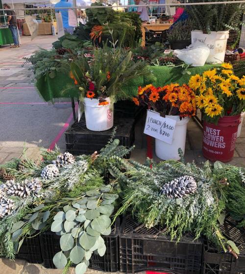 A vibrant display of flowers and greenery at a market, featuring buckets of sunflowers, pinecones, and eucalyptus.