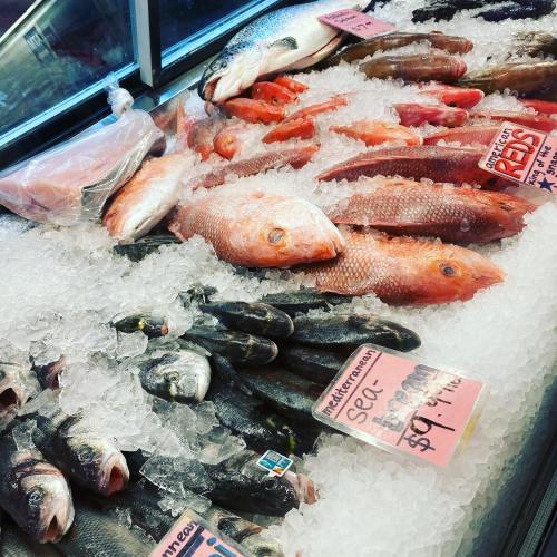 A display of various fresh fish on ice, with price tags visible for different types of seafood.