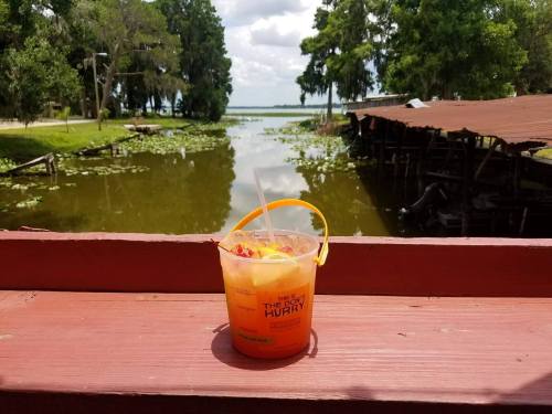 A colorful drink sits on a wooden railing, overlooking a serene lake with lily pads and trees in the background.