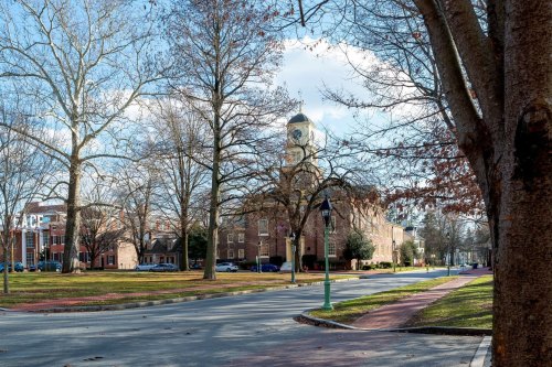 A tree-lined street with a clock tower building in the background, under a clear blue sky.