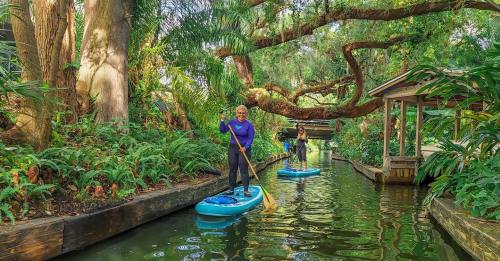 Two people paddleboarding on a serene, narrow waterway surrounded by lush greenery and trees.