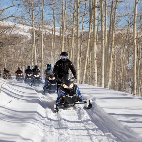 A group of snowmobilers riding through a snowy forest trail surrounded by tall trees.