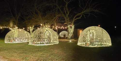 Three illuminated geodesic domes in a grassy area, surrounded by trees and string lights at night.