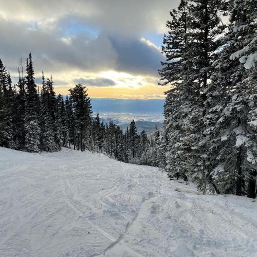 A snowy mountain slope lined with tall pine trees, with a sunset illuminating the distant valley below.
