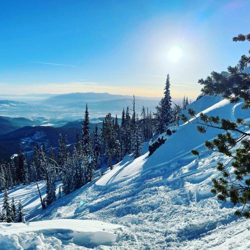 A snowy mountain landscape with tall pine trees and a bright sun shining over distant hills.