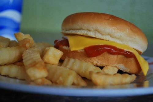 A cheeseburger with ketchup on a bun, served with crinkle-cut fries on a plate.