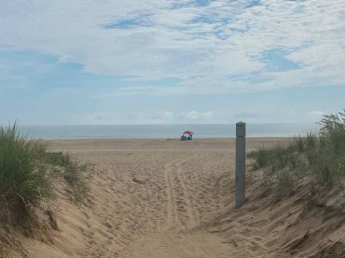 A sandy beach path leads to the ocean, with a couple under a red umbrella in the distance and grass on either side.