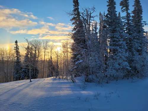 A snowy landscape at sunset, featuring tall trees and a colorful sky with clouds.