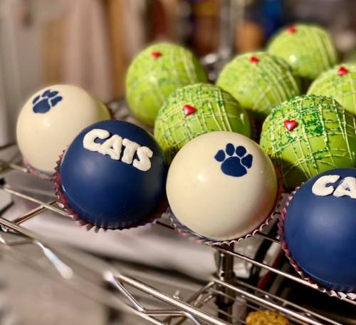 A display of colorful cake pops, some decorated with paw prints and the word "CATS" on a wire rack.