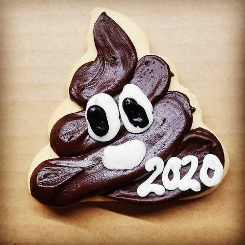 A cookie shaped like a poop emoji, decorated with chocolate frosting and the year "2020" in white icing.