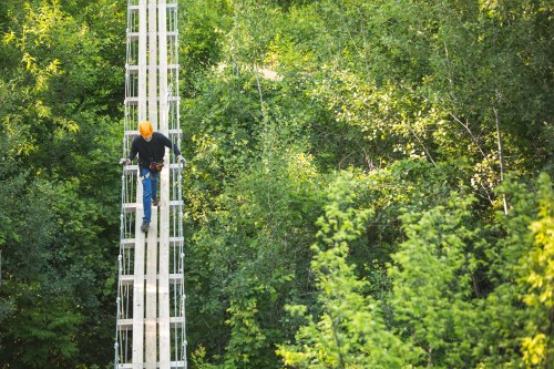 A person in a hard hat climbs a tall ladder surrounded by lush green trees.