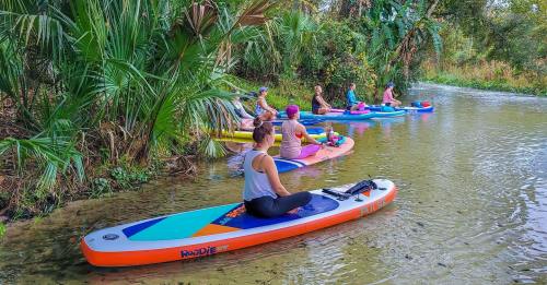 A group of people paddleboarding on a calm river surrounded by lush greenery.