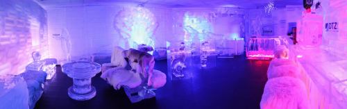 A vibrant ice-themed room with colorful lighting, featuring ice furniture and a dog exploring the space.