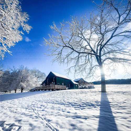 A snowy landscape featuring a blue barn, a bare tree, and bright blue skies with sunlight shining through.