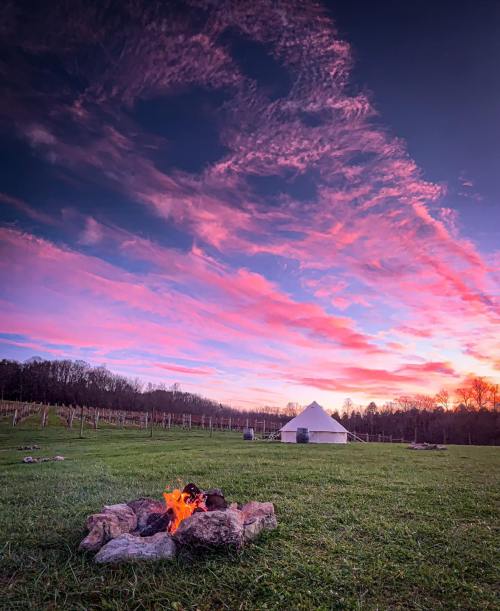 A campfire surrounded by rocks on a grassy field, with a tent and vibrant sunset sky in the background.