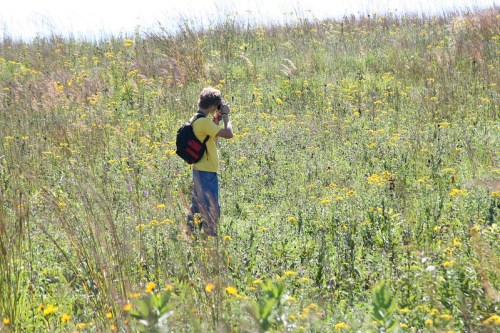 A child with a backpack stands in a field of wildflowers, taking photos with a camera on a sunny day.