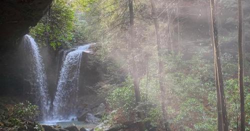 A serene waterfall cascades through lush greenery, surrounded by mist and tall trees in a tranquil forest setting.