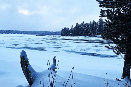 A snowy landscape with a frozen lake, surrounded by evergreen trees under a cloudy sky.