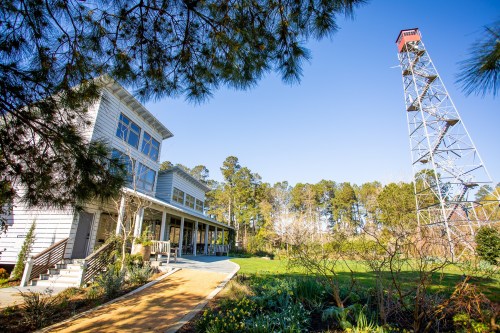 A modern building with large windows beside a tall observation tower, surrounded by trees and clear blue skies.